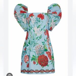 Cara Cara Floral Puff Sleeve Dress - Blue and Red